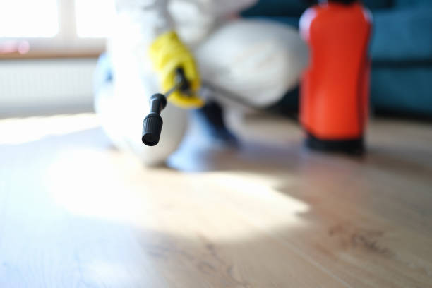Trusted Fairfield, AL Mold Removal Experts